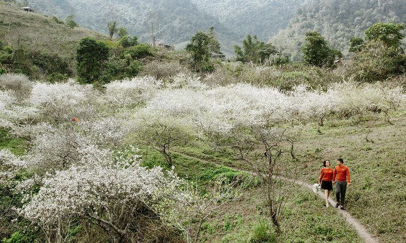 Un rincón del jardín de una casa en Muong Long en los primeros días de febrero (Foto: Nguyen Duy Khanh)