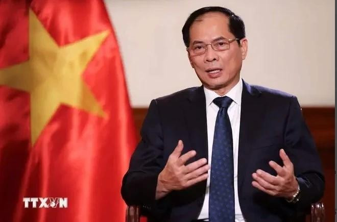 El ministro de Relaciones Exteriores del país indochino, Bui Thanh Son. (Foto: VNA)