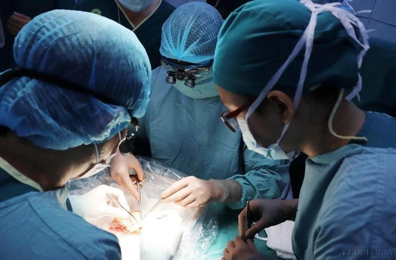 El Hospital de Pediatría Nº 2 de Ciudad Ho Chi Minh llevó a cabo con éxito un trasplante de riñón a un paciente, utilizando un órgano de un donante con muerte cerebral. Este fue el vigésimo tercer trasplante de riñón realizado por el hospital y el segundo caso que involucró a un donante con muerte cerebral (Foto: VNA)