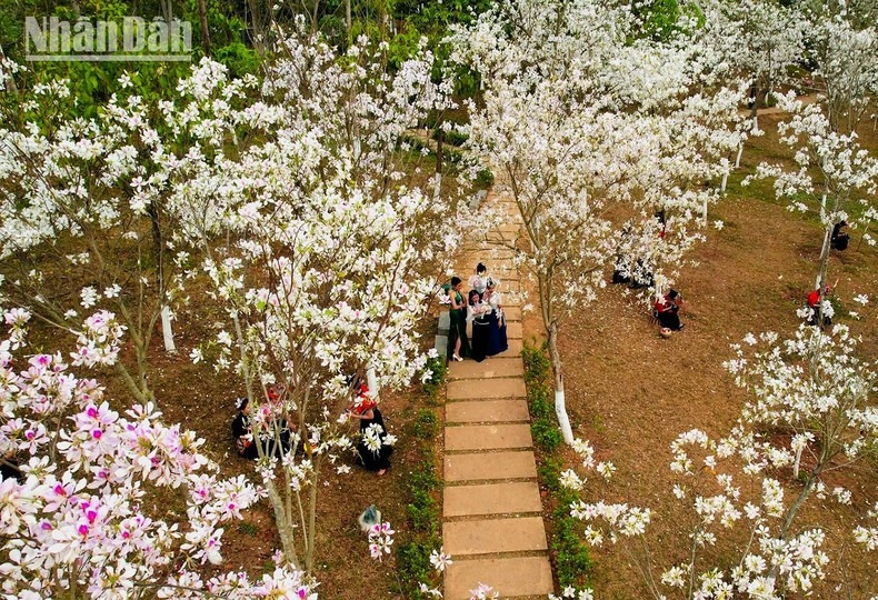 En el concurso de bordado de la bufanda Pieu, de la etnia Thai, participaron 12 artesanas muy diestras en ese arte y que representaron a comunas y barrios de la ciudad.