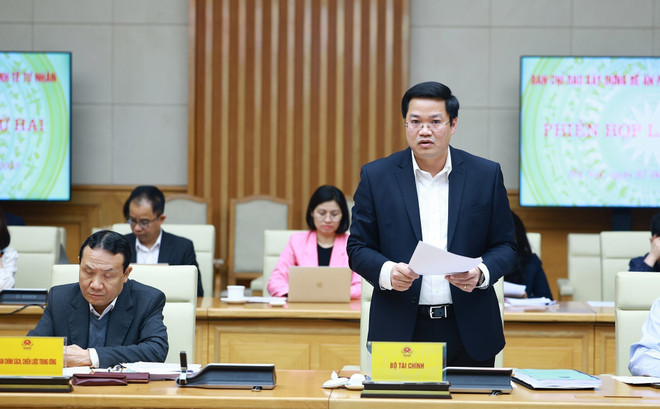 El viceministro de Finanzas Nguyen Duc Tam presenta un borrador del proyecto. (Foto: VNA)