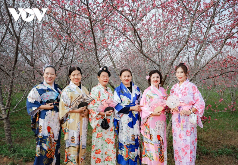 Los trajes tradicionales de las mujeres de Japón, la patria de los cerezos en flor. Los trajes tradicionales de las mujeres de Japón, la patria de los cerezos en flor.