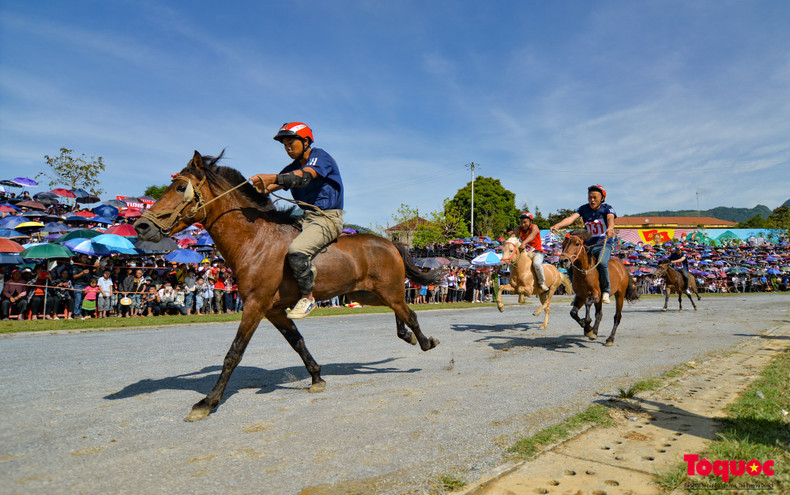 El Festival de carreras de caballos de Bac Ha está imbuido de valores culturales tradicionales y es el resultado del proceso de cuidado y entrenamiento de los equinos. El Festival de carreras de caballos de Bac Ha está imbuido de valores culturales tradicionales y es el resultado del proceso de cuidado y entrenamiento de los equinos.