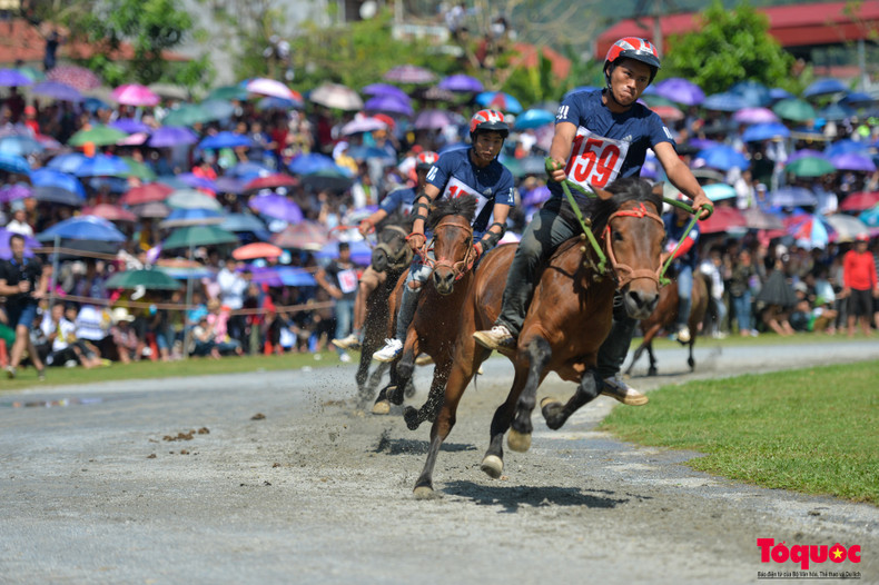 Usualmente la fiesta se celebra en dos rondas, la clasificatoria y la final. Usualmente la fiesta se celebra en dos rondas, la clasificatoria y la final.