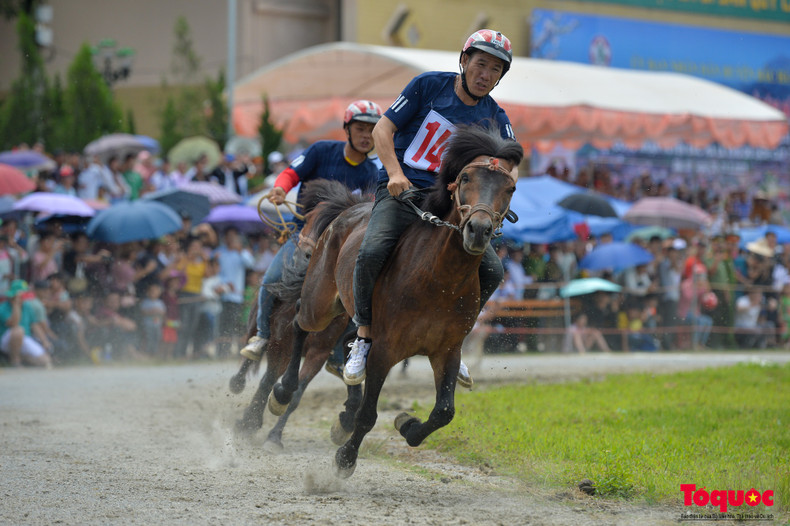 Caballos que compiten en la vibrante pista de carreras. Caballos que compiten en la vibrante pista de carreras.