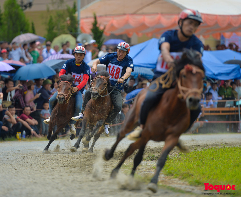 Los jinetes eligen un buen caballo con hermosos cascos, dientes fuertes y buen andar para participar en la carrera. Los jinetes eligen un buen caballo con hermosos cascos, dientes fuertes y buen andar para participar en la carrera.