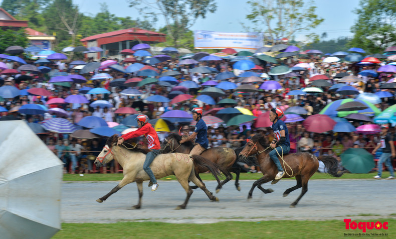 Los jinetes son agricultores. Antes del día de la competencia, aran los campos, plantan maíz y arroz y cuidan el jardín de ciruelos de Tam Hoa. Los jinetes son agricultores. Antes del día de la competencia, aran los campos, plantan maíz y arroz y cuidan el jardín de ciruelos de Tam Hoa.