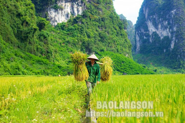 Yen Thinh está desarrollando muchos tipos de turismo y actividades de escalada deportiva.