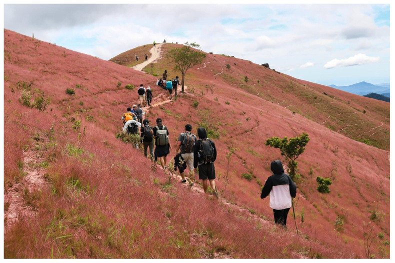 De diciembre a abril, la tierra está seca, el cielo es azul y la hierba llena de vitalidad. Esta es la mejor estación del año para visitar Ta Nang- Phan Dung.