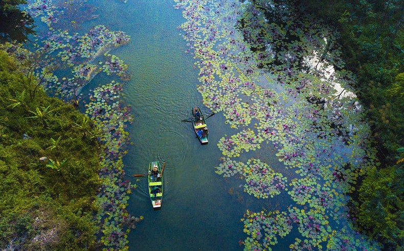 El camino a Thung Nang, un destino turístico en el pueblo de Dam Khe, de la comuna de Ninh Hai, con su belleza encantadora