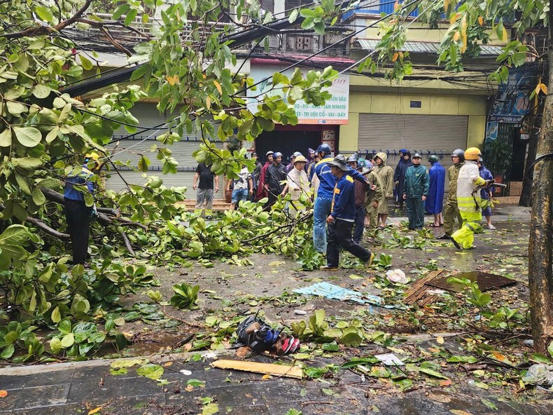 En la mañana del 8 de septiembre, las autoridades retiran los árboles caídos en la ciudad de Nam Dinh. En la mañana del 8 de septiembre, las autoridades retiran los árboles caídos en la ciudad de Nam Dinh.