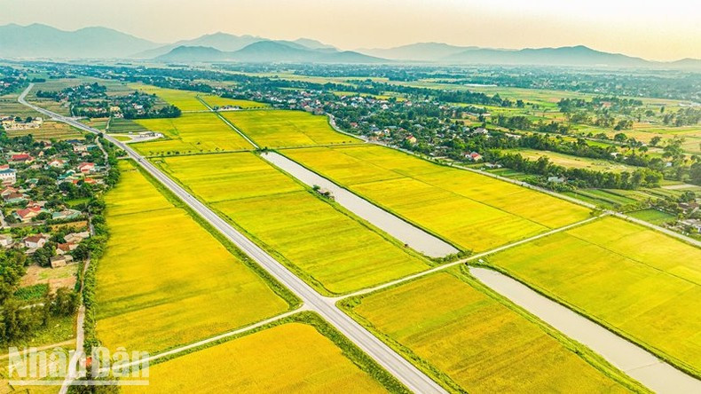 El perfil de las zonas rurales se llena de una nueva vitalidad. El perfil de las zonas rurales se llena de una nueva vitalidad.