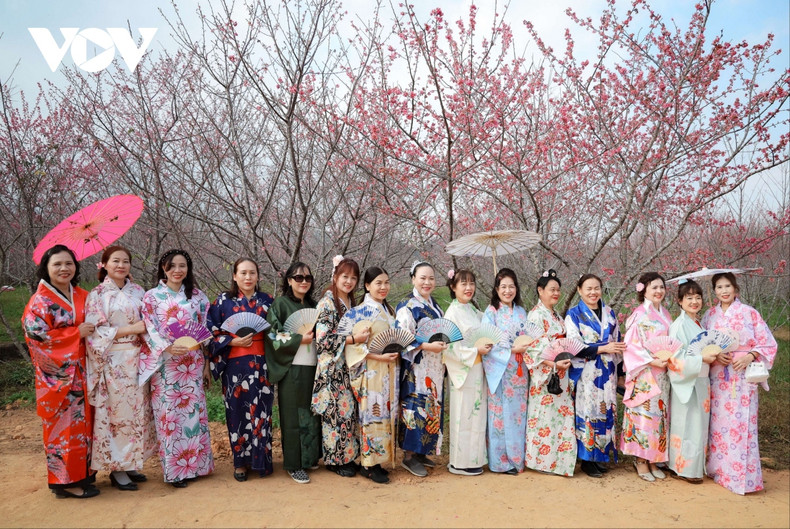 Los turistas disfrutarán de la cultura local a través de trajes tradicionales junto a las flores de cerezo. Los turistas disfrutarán de la cultura local a través de trajes tradicionales junto a las flores de cerezo.