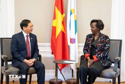 El ministro de Relaciones Exteriroes, Bui Thanh Son, y la secretaria general de la OIF, Louise Mushikiwabo. (Foto: VNA) El ministro de Relaciones Exteriroes, Bui Thanh Son, y la secretaria general de la OIF, Louise Mushikiwabo. (Foto: VNA)