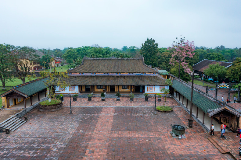 La floración de esta planta (firmiana simplex) comienza a finales de marzo y principios de abril, colorea el paisaje y le imprime un tono pintoresco y pacífico.