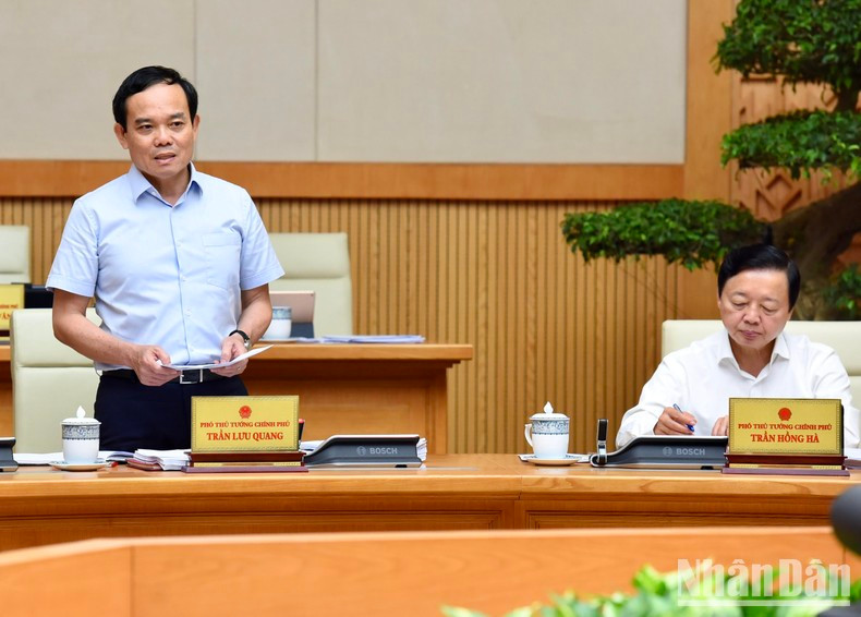 El viceprimer ministro Tran Luu Quang.