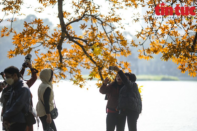 Los visitantes del lago Hoan Kiem pueden disfrutar de los momentos más románticos del año. Los visitantes del lago Hoan Kiem pueden disfrutar de los momentos más románticos del año.