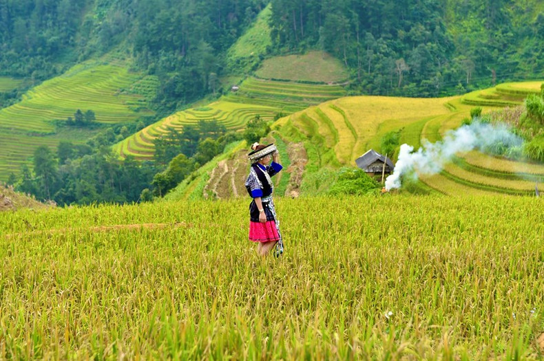 Las colinas Mam xoi y Mong ngua atraen a muchos turistas deseosos de tomar fotos.