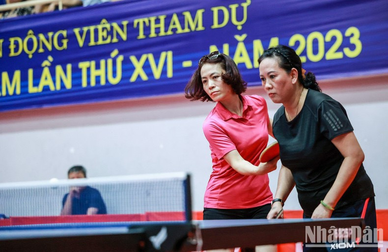 Bellas tenistas en el campeonato. Bellas tenistas en el campeonato.