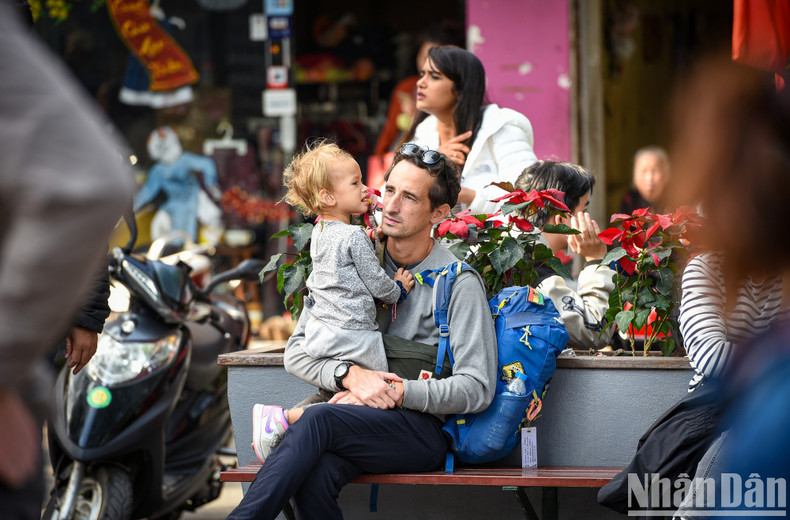 Pueden sentarse al sol para abrigarse ante el frio invernal.