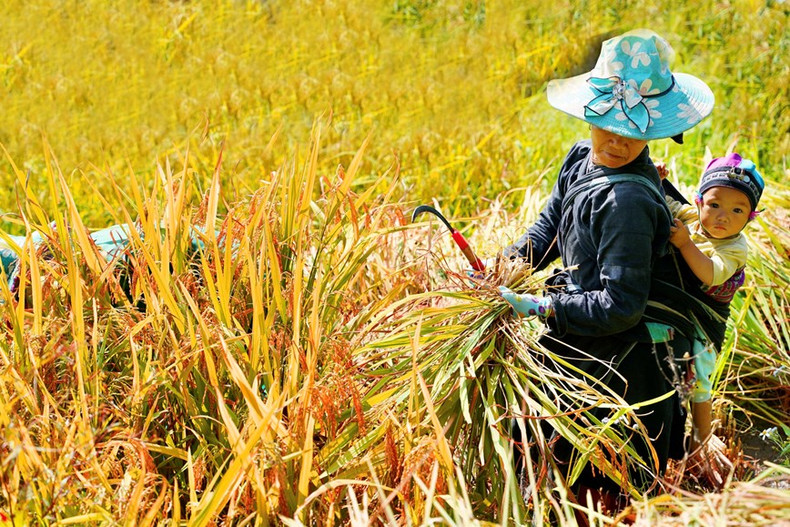 Este es un recurso turístico y un destino atractivo para los turistas nacionales y extranjeros.