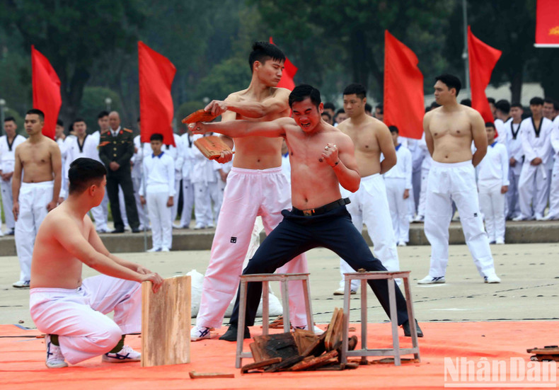 Demostración de artes marciales. Demostración de artes marciales.