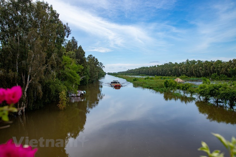 El bosque de Tra Su se formó en 1983, tiene 845 hectáreas y está ubicado en tres comunas: Vinh Trung, Van Giao y O Long Vy de la provincia de An Giang.