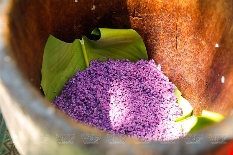 El arroz teñido de púrpura en cestas de madera de los Thai en Muong Lo.