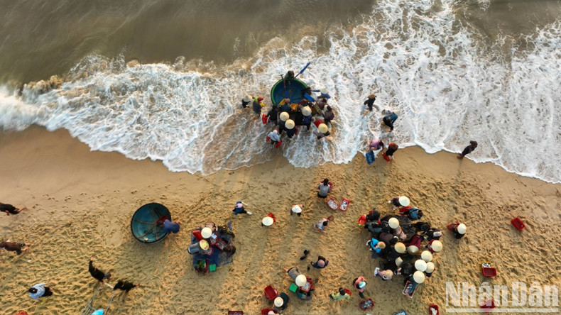 Los pescadores anclan sus barcos a unos 50 metros de la costa y luego transfieren el marisco a cada barca cesta para transportarlo a la orilla.
