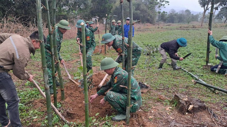 La instancia de la Unión de Jóvenes Comunista Ho Chi Minh en la Estación de Guardia Fronteriza de Mon Son y otras fuerzas estacionadas en el área lanzan el movimiento de siembra de árboles en el área del estadio de la comuna de Mon Son, distrito de Con Cuong. La instancia de la Unión de Jóvenes Comunista Ho Chi Minh en la Estación de Guardia Fronteriza de Mon Son y otras fuerzas estacionadas en el área lanzan el movimiento de siembra de árboles en el área del estadio de la comuna de Mon Son, distrito de Con Cuong.