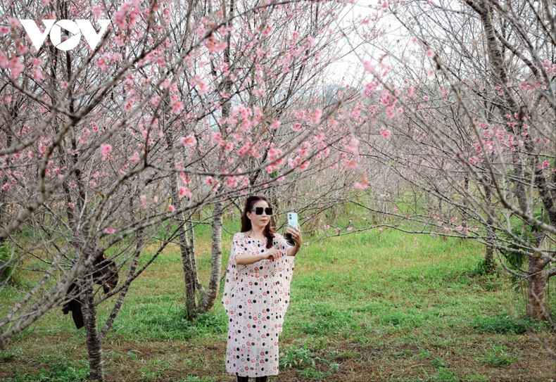 La edición de este año celebra el 50 aniversario del establecimiento de relaciones diplomáticas entre Vietnam y Japón. La edición de este año celebra el 50 aniversario del establecimiento de relaciones diplomáticas entre Vietnam y Japón.