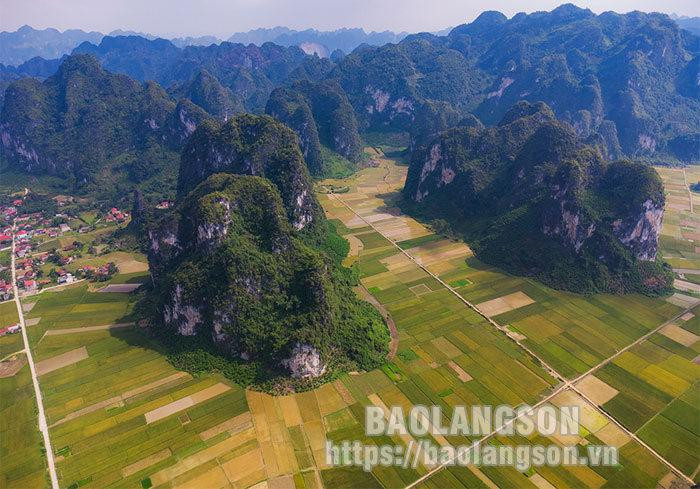 La comuna posee pintorescos campos de arroz y es uno de los lugares más hermosos para admirar los arrozales maduros en Lang Son.