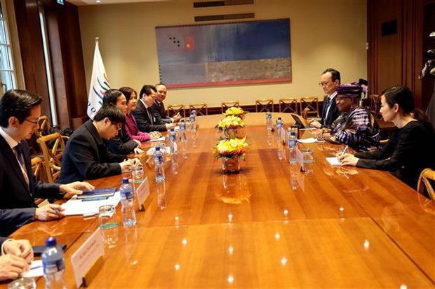 El viceprimer ministro vietnamita, Tran Luu Quang, trabajó con la directora general de la Organización Mundial del Comercio (OMC), Ngozi Okonjo-Iweala, (Fotografía: VNA) El viceprimer ministro vietnamita, Tran Luu Quang, trabajó con la directora general de la Organización Mundial del Comercio (OMC), Ngozi Okonjo-Iweala, (Fotografía: VNA)
