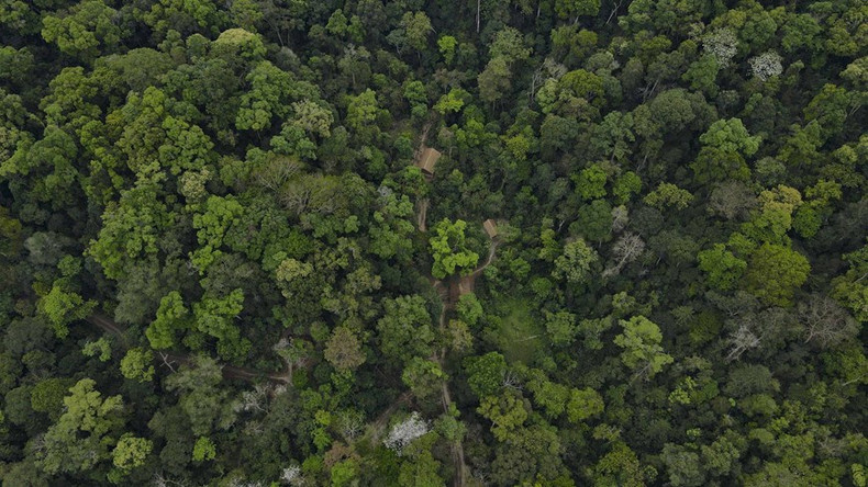 El cuartel general del Comando de Campaña de Dien Bien Phu está ubicado en el antiguo bosque de la comuna de Muong Phang, de la provincia de Dien Bien. (Foto: VNA)