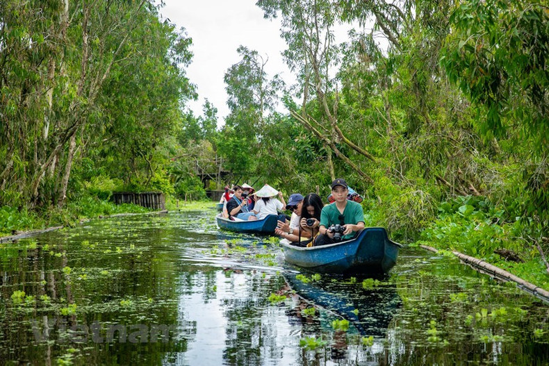 Al llegar al área central, los visitantes cambian de lancha motora a bote para adentrarse en cada rincón del bosque.