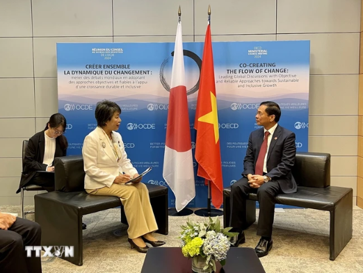 El ministro de Relaciones Exteriores, Bui Thanh Son, y su homóloga japonesa, Kamikawa Yoko. (Foto: VNA) El ministro de Relaciones Exteriores, Bui Thanh Son, y su homóloga japonesa, Kamikawa Yoko. (Foto: VNA)