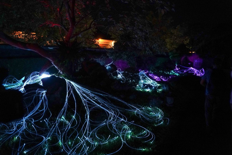 La tecnología se utiliza para brindar una bella experiencia a los visitantes.