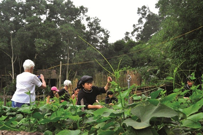 Turistas visitan Thai Hai. (Foto: thaihai.vn)