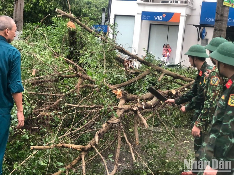 En la circunscripción de Phuc La, distrito de Ha Dong, desde las 4:30 de la mañana, inmediatamente después de que pasara la tormenta, las autoridades movilizan a todos los trabajadores, fuerzas de seguridad de base, policías, soldados y estudiantes de la Academia Médica Militar para trabajar en la limpieza y el barrido de calles. En la circunscripción de Phuc La, distrito de Ha Dong, desde las 4:30 de la mañana, inmediatamente después de que pasara la tormenta, las autoridades movilizan a todos los trabajadores, fuerzas de seguridad de base, policías, soldados y estudiantes de la Academia Médica Militar para trabajar en la limpieza y el barrido de calles.