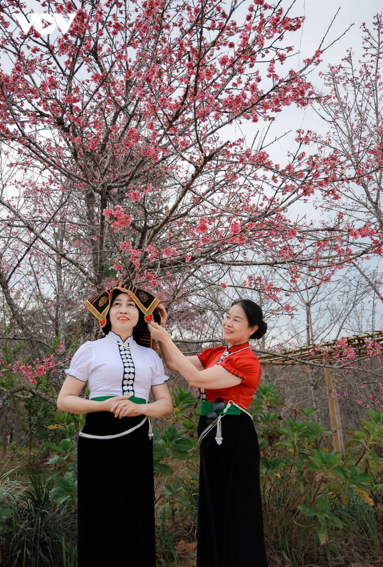 El evento se llevará a cabo del 12 al 14 de enero con numerosas actividades atractivas. El evento se llevará a cabo del 12 al 14 de enero con numerosas actividades atractivas.