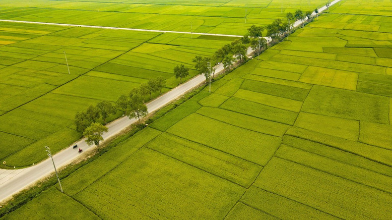 La autopista 279 discurre por el campo Muong Thanh. La autopista 279 discurre por el campo Muong Thanh.