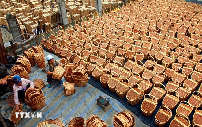 Fabricación de productos de bambú y ratán para exportación en el distrito de Phu Xuyen, Hanói. (Foto: VNA)