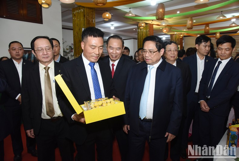 El premier vietnamita, Pham Minh Chinh, y los delegados visitan la exposición de productos agrícolas vietnamitas. El premier vietnamita, Pham Minh Chinh, y los delegados visitan la exposición de productos agrícolas vietnamitas.