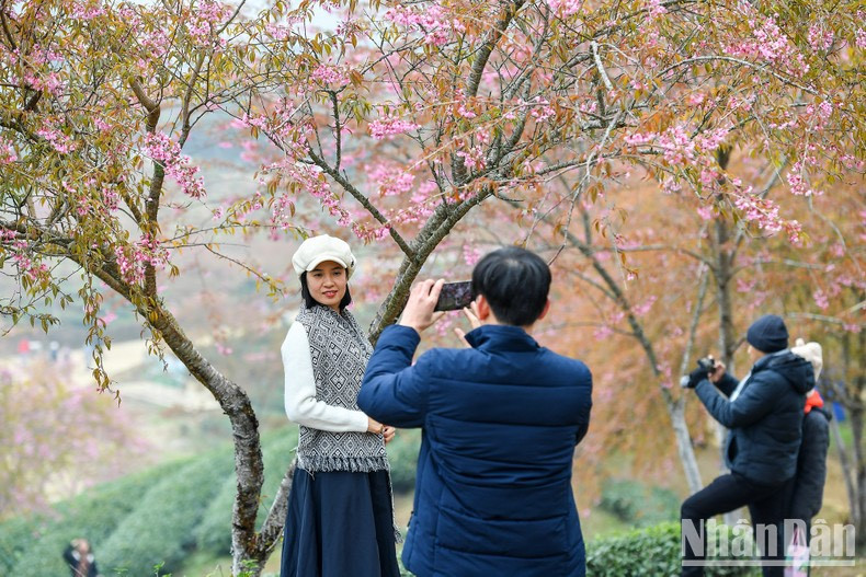Los visitantes aprovechan la oportunidad para capturar hermosos y fugaces momentos, pues esta flor es frágil y se marchita rápidamente.