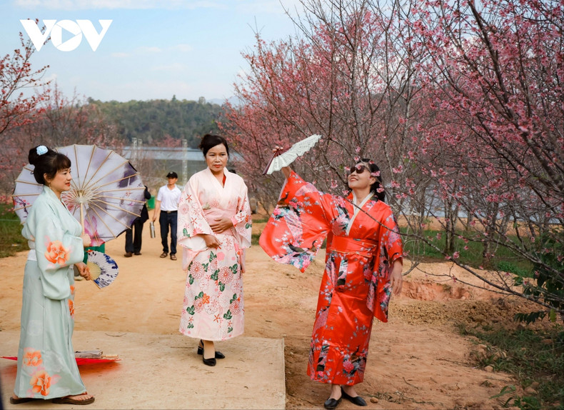 Se trata de uno de los eventos en saludo al Año Nacional del Turismo y el 70 aniversario de la Victoria de Dien Bien Phu. Se trata de uno de los eventos en saludo al Año Nacional del Turismo y el 70 aniversario de la Victoria de Dien Bien Phu.