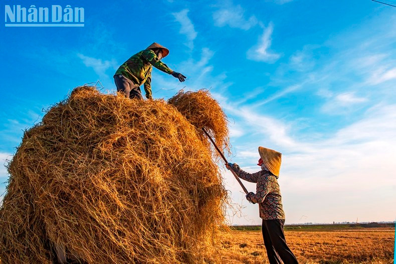 ...y recogiendo todos los frutos de una temporada dorada. ...y recogiendo todos los frutos de una temporada dorada.