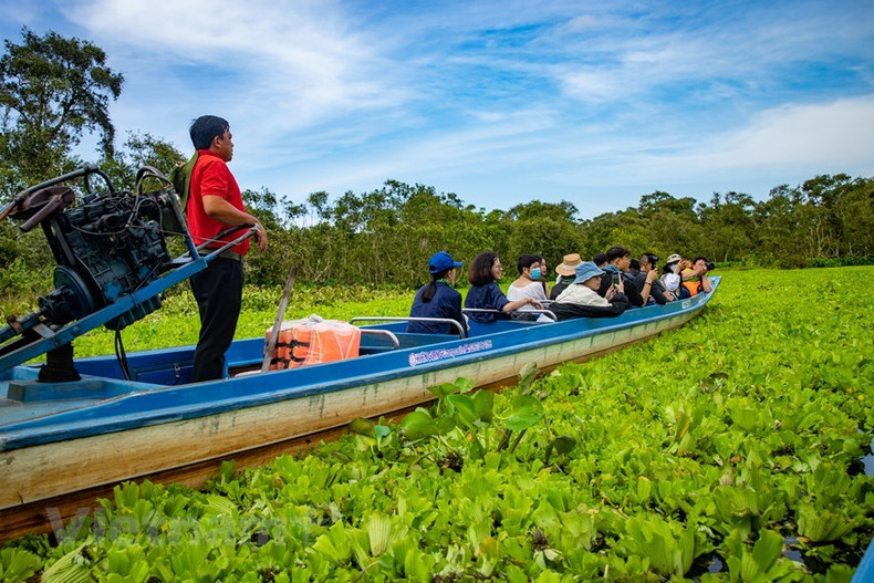 Los visitantes se sentirán abrumados por el vasto bosque de cajeput y tendrán la oportunidad de explorar el típico ecosistema de bosque inundado al oeste del río Hau con muchas especies diversas y raras de flora y fauna.