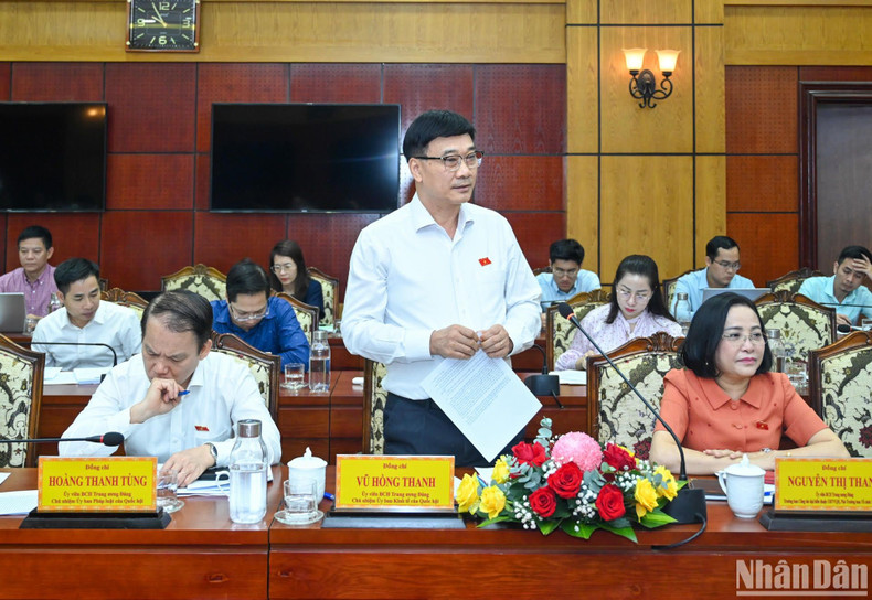 El jefe de la Comisión de Asuntos Económicos de la Asamblea Nacional, Vu Hong Thanh.