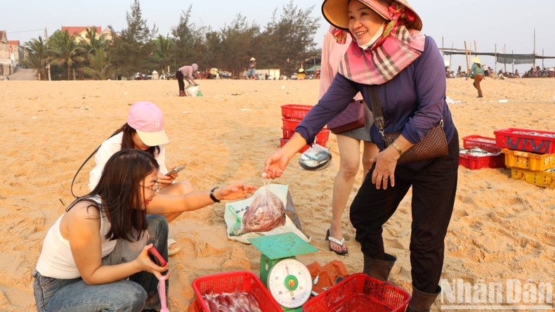 Quang Binh está en la temporada del pescado del sur, cuando el marisco es fresco y delicioso. Los precios han subido bastante, lo que hace muy felices a los pescadores.