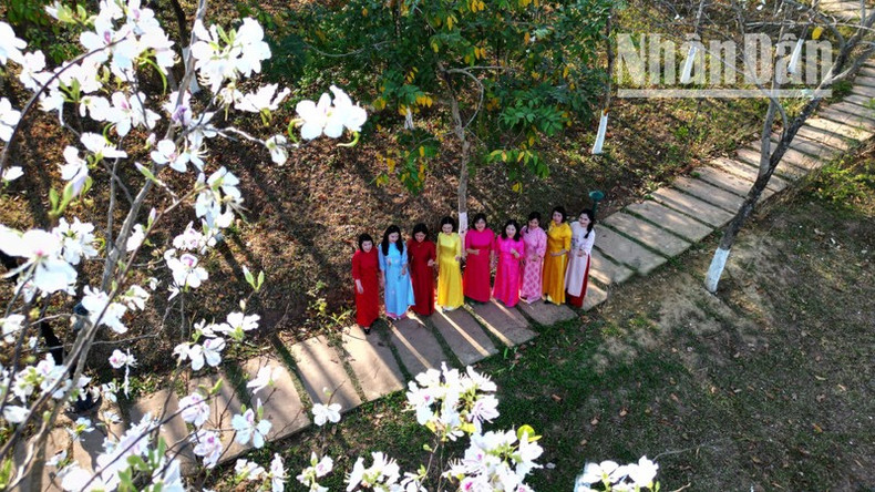 Esta es también una oportunidad para que los amantes de esta flor conserven bellos momentos. Esta es también una oportunidad para que los amantes de esta flor conserven bellos momentos.